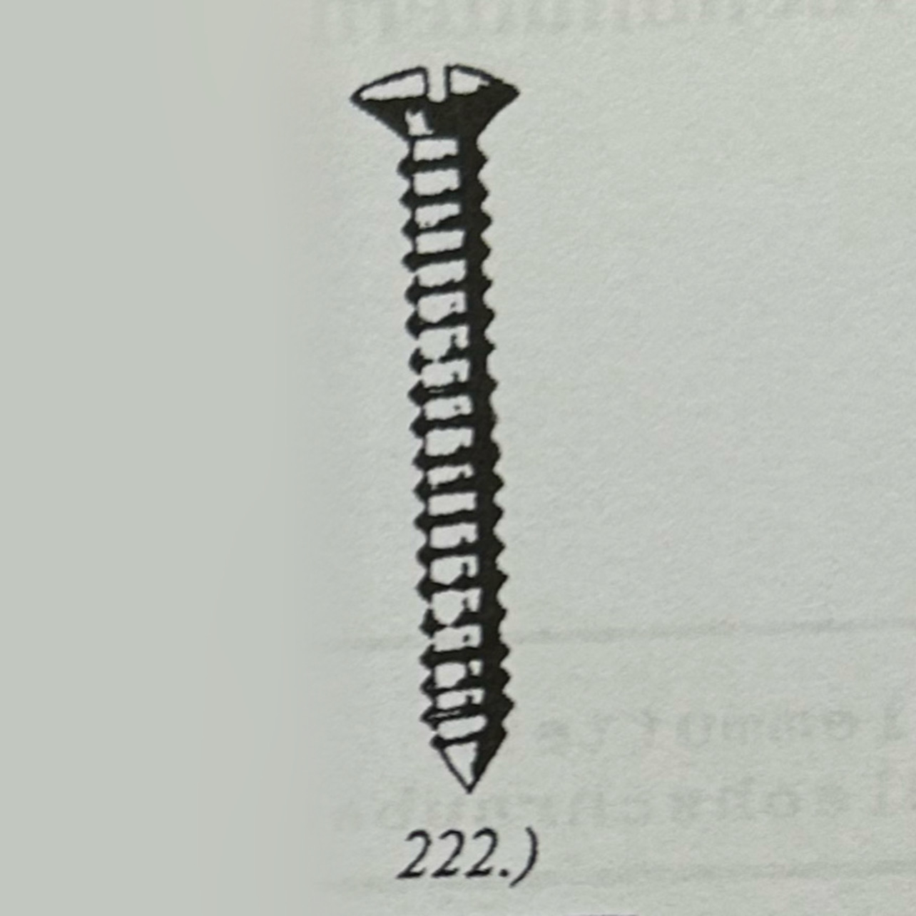 222.jpeg