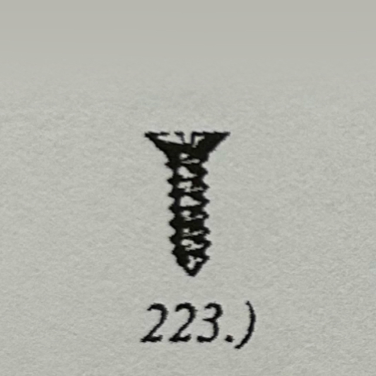 223.jpeg