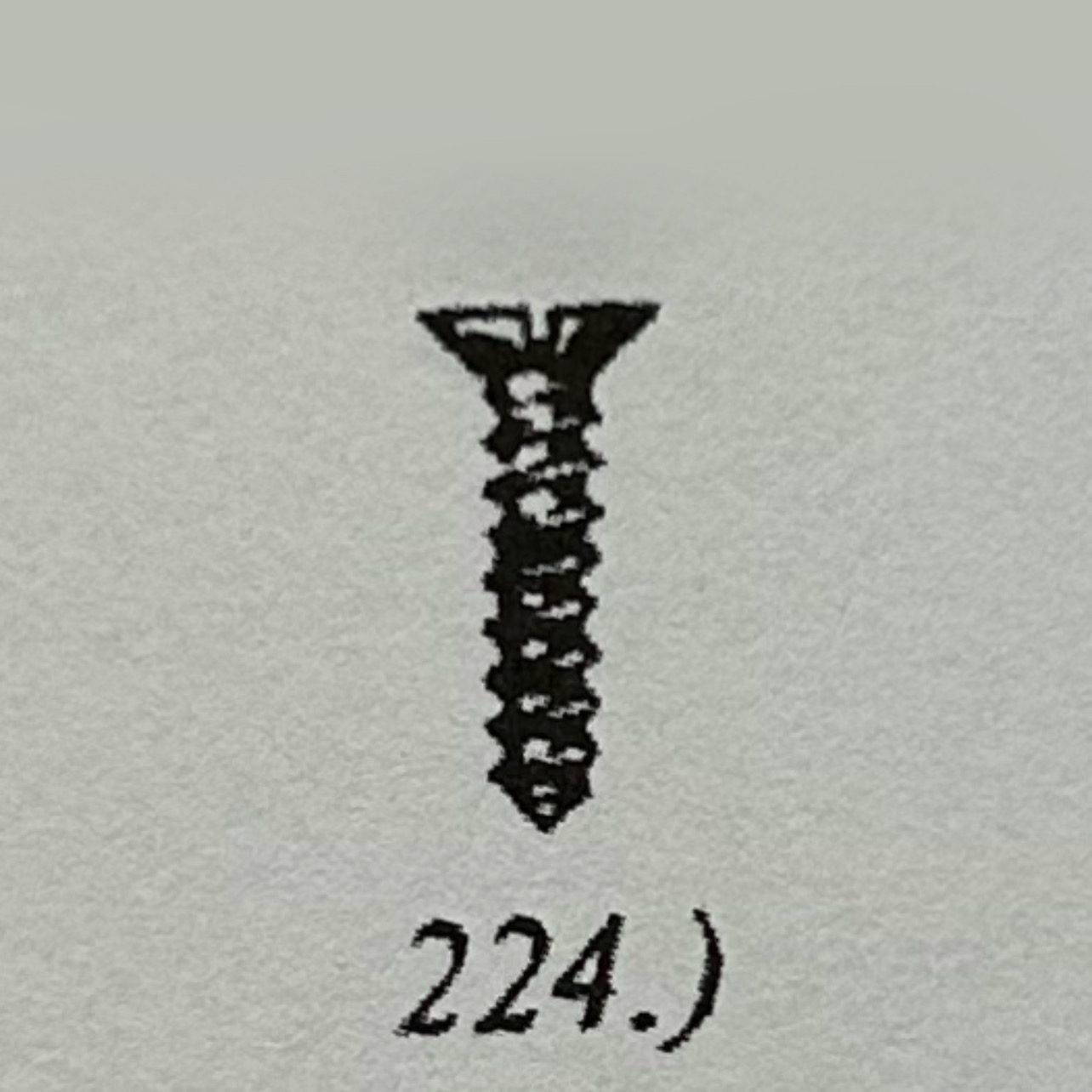 224.jpeg
