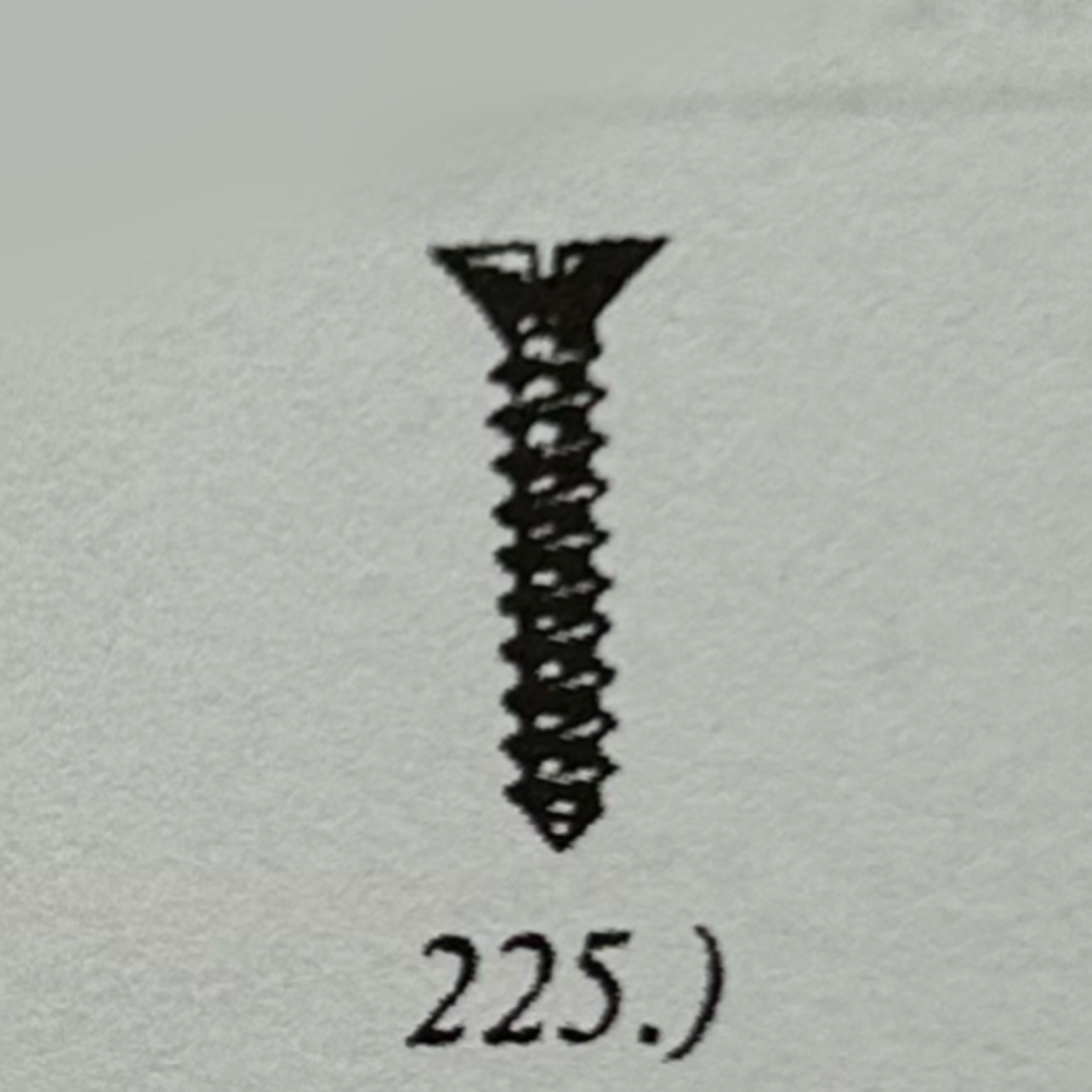 225.jpeg