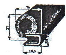 293.jpg