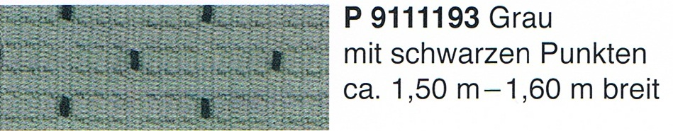 P9111193.jpg